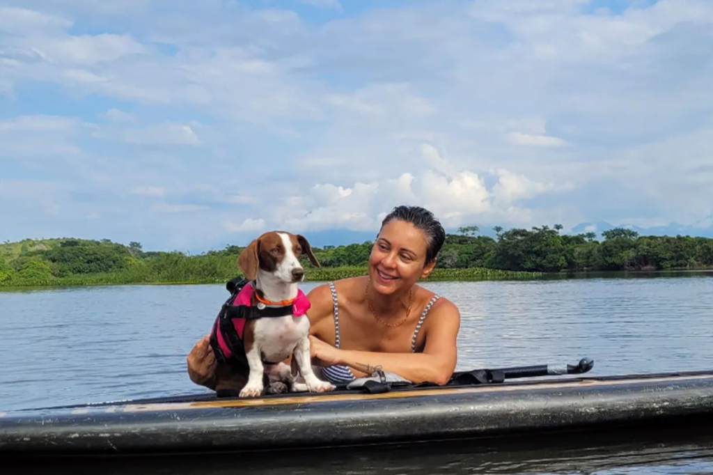 Pessoa em prancha acompanhada de cachorro usando colete para pets