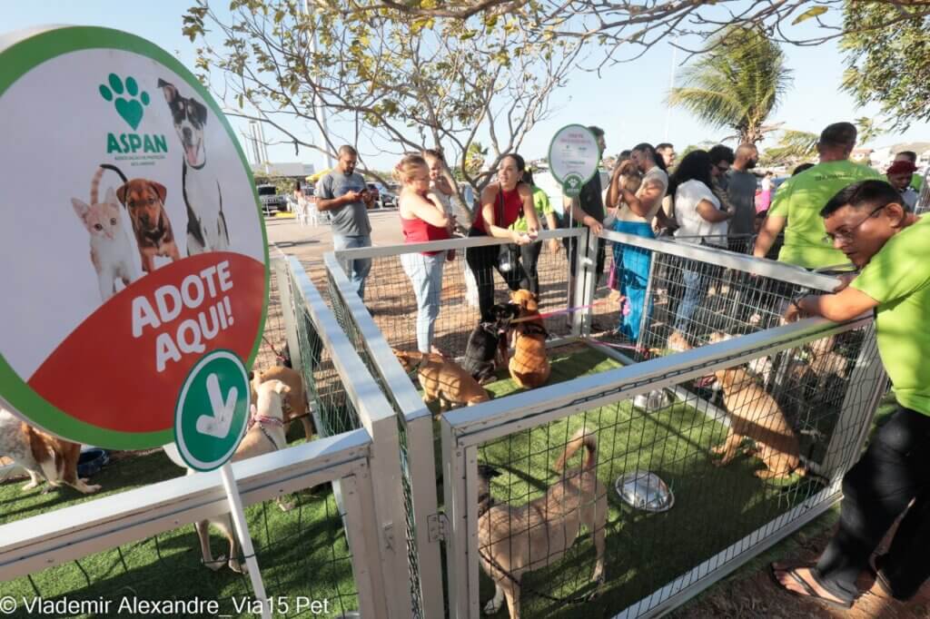 Área de adoção de animais durante o Rolê dos Pets