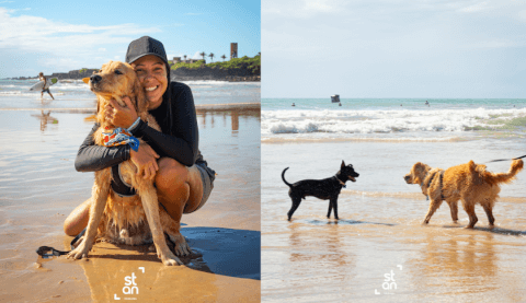 Participante com cachorro na praia e cães brincando à beira-mar